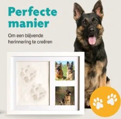 Honden Fotolijst Met Kleiafdruk - Gipsafdruk - Speelgoed Voor Dieren - Pootafdruk Hond - Puppy Speelgoed - Gipsafdruk Huisdier -Hondenbenodigdheden 1200x1186 24