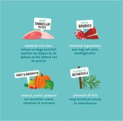 Merkloos Edgard & Cooper Hondenvoer Multipack Kip - Wild - Lam 6 X 100 Gr 13 Merkloos Edgard & Cooper Hondenvoer Multipack Kip - Wild - Lam 6 X 100 Gr -Hondenbenodigdheden 1200x1187 11