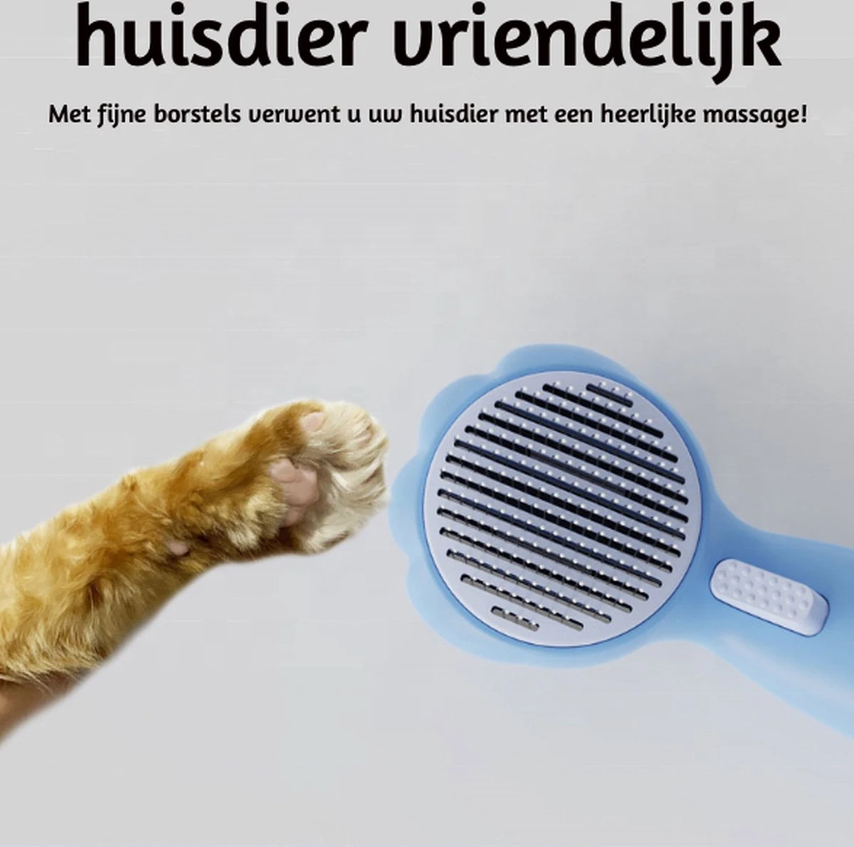 Smarge | Hondenborstel | Kattenborstel | Blauw | Zelfreinigend | Dierenborstel | Met Pluis Verwijderaar | Kattenkam | Hondenkam | Kattenhaar Verwijderaar | Lang/kortharig | Huisdieren 7 Smarge | Hondenborstel | Kattenborstel | Blauw | Zelfreinigend | Dierenborstel | Met Pluis Verwijderaar | Kattenkam | Hondenkam | Kattenhaar Verwijderaar | Lang/kortharig | Huisdieren - Afbeelding 5