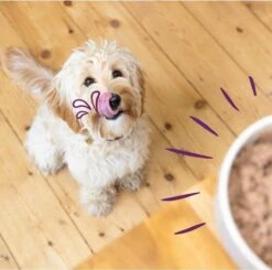 Merkloos Edgard & Cooper Hondenvoer Multipack Kip - Wild - Lam 6 X 100 Gr 12 Merkloos Edgard & Cooper Hondenvoer Multipack Kip - Wild - Lam 6 X 100 Gr -Hondenbenodigdheden 1200x1190 19