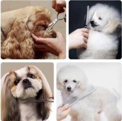 VoordeelShop 7-Delige Huisdier Knipset Met Etui - Trimmen Hond - Honden Schaar - Effileerschaar Hond - Huisdier Trimmer - Huisdier Knippen - Knipschaar Haar - Haar Schaar - Kapper - Kapperset - Scharenset -Hondenbenodigdheden 1200x1190 6