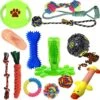 Filo Honden Speelgoed Set 14 Stuks - Hondenspeeltjes Knuffel - Hondenbal - Flostouw - Bot - Frisbee - Hondentouw - Hondenspeelgoed Intelligentie - Kauwspeelgoed Hond En Puppy - Bijtspeelgoed Hondenknuffel - Hondenspeeltje Met Piep -Hondenbenodigdheden 1200x1191 14