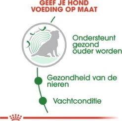 Royal Canin Shn Mini Ageing 12plus Pouch - Hondenvoer - 12x85 G -Hondenbenodigdheden 1200x1192 6