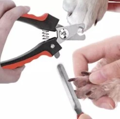 Merkloos Professionele Nagelschaar - Dieren Nagelschaar - Rood & Zwart - Honden Nagelknipper - Hondennagels - Honden Knip Schaar - Honden Knipsch 12 Merkloos Professionele Nagelschaar - Dieren Nagelschaar - Rood & Zwart - Honden Nagelknipper - Hondennagels - Honden Knip Schaar - Honden Knipsch -Hondenbenodigdheden 1200x1195 13