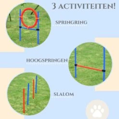 Merkloos Honden Agility Set - 23-delig - Agility Voor De Hond - Agility - Honden Parcours - Honden Training - Rood/Blauw -Hondenbenodigdheden 1200x1196 29