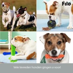 Filo Honden Speelgoed Set 14 Stuks - Hondenspeeltjes Knuffel - Hondenbal - Flostouw - Bot - Frisbee - Hondentouw - Hondenspeelgoed Intelligentie - Kauwspeelgoed Hond En Puppy - Bijtspeelgoed Hondenknuffel - Hondenspeeltje Met Piep -Hondenbenodigdheden 1200x1197 27