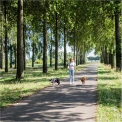 Rebel Petz - Dubbele Verstelbare Hondenriem Voor Twee Honden - Met Draaibare Sluiting En Zacht Handvat - Small En Large - Small (140 Cm Lang, Ø 8 Mm) -Hondenbenodigdheden 1200x1198 1