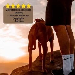 Looplijn Met Heupriem Hands Free - Hondenriem - Reflecterende Hardloopband -Elastische Leiband - Heuptas En Flessenhouder - Zwart - 150 Cm Tot 210 Cm -Hondenbenodigdheden 1200x1198 2