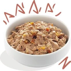 11x Edgard & Cooper Kuipje Vers Vlees Senior Hondenvoer Kip - Zalm 150 Gr -Hondenbenodigdheden 1200x1198 27