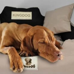 KingDog - Groot Honden- En Kattenbed 75 X 65 | Donkergrijs - Maat M 13 KingDog - Groot Honden- En Kattenbed 75 X 65 | Donkergrijs - Maat M -Hondenbenodigdheden 1200x1198 29