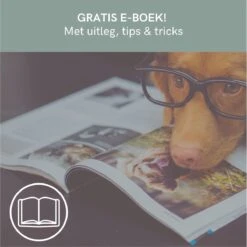 Comfort Company Praatknop Hond | Dogbuttons – Honden Speelgoed | Honden Speelgoed Intelligentie | 4 Stuks | Agility Voor De Hond | 30 Seconden Opnamen | Honden Training 17 Comfort Company Praatknop Hond | Dogbuttons – Honden Speelgoed | Honden Speelgoed Intelligentie | 4 Stuks | Agility Voor De Hond | 30 Seconden Opnamen | Honden Training -Hondenbenodigdheden 1200x1198 32