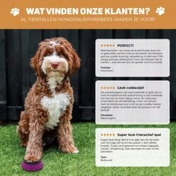 Vulpes Pets® PRO Praatknop Voor Honden - Dogbuttons - Laat Uw Huisdier Spreken - Hondenspeelgoed - Honden Training - Incl. E-Book & Trainingsstickers -Hondenbenodigdheden 1200x1198 33
