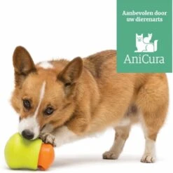 West Paw Toppl Zogoflex - Uitdagend En Sterk Speelgoed Voor Honden - Slowfeeder - Vulbaar Met Voer Of Snacks - Kleur: Groen, Maat: Large -Hondenbenodigdheden 1200x1198 38
