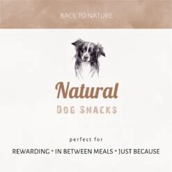 Antos Kippenpoten Gedroogd Kip 1 Kg 14 Antos Kippenpoten Gedroogd Kip 1 Kg -Hondenbenodigdheden 1200x1199 24