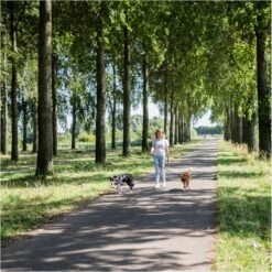 Rebel Petz - Dubbele Verstelbare Hondenriem Voor Twee Honden - Met Draaibare Sluiting En Zacht Handvat - Small En Large - Large (140 Cm Lang, Ø 12 Mm) -Hondenbenodigdheden 1200x1199 3