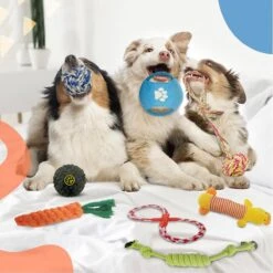 Luxury Diversity - Honden Speelgoed - 12 Honden Speeltjes - Puppy Speelgoed - Honden - Honden Speelgoed Intelligentie 14 Luxury Diversity - Honden Speelgoed - 12 Honden Speeltjes - Puppy Speelgoed - Honden - Honden Speelgoed Intelligentie -Hondenbenodigdheden 1200x1199 33