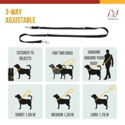 Happilax Dog Leash 2m Adjustable - Black/Reflective - 3-Step Adjustable Leash - Double Leash, Tug Leash - Geschikt Als Hondenriem Voor Grote Honden Of Als Sleepriem Voor Kleine Honden. -Hondenbenodigdheden 1200x1200 1