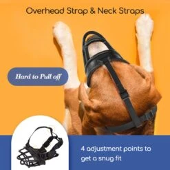 Nobleza Muilkorf Hond - Snuitomtrek 33 - Maat L - Zwart -Hondenbenodigdheden 1200x1200 1014