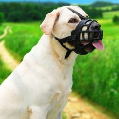 Sharon B Muilkorf Hond - Zwart - XXL - Voor Zeer Grote Honden - Snuitomtrek 38-43 Cm 16 Sharon B Muilkorf Hond - Zwart - XXL - Voor Zeer Grote Honden - Snuitomtrek 38-43 Cm -Hondenbenodigdheden 1200x1200 1023