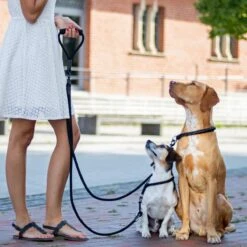 Rebel Petz - Dubbele Verstelbare Hondenriem Voor Twee Honden - Met Draaibare Sluiting En Zacht Handvat - Small En Large - Large (140 Cm Lang, Ø 12 Mm) -Hondenbenodigdheden 1200x1200 105