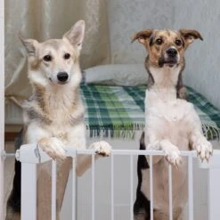 Nobleza 47B4V - Hondenhek - Metaal - H76 X L75-82 Cm - Wit -Hondenbenodigdheden 1200x1200 1058