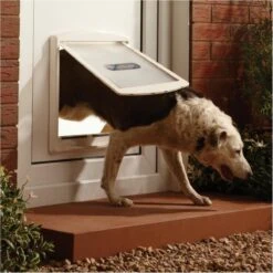 Petsafe 760 Hondenluik - L - Wit - 37 X 31,4 Cm -Hondenbenodigdheden 1200x1200 1092