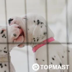 Topmast Puppyren Uitvouwbaar - Zwart - 560 Cm Omtrek - 60 Cm Hoog - Opvouwbaar XL - Hondenren 9 Topmast Puppyren Uitvouwbaar - Zwart - 560 Cm Omtrek - 60 Cm Hoog - Opvouwbaar XL - Hondenren -Hondenbenodigdheden 1200x1200 1152