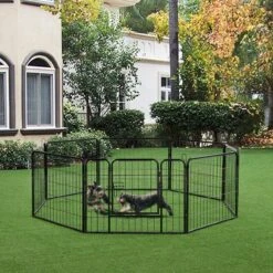 ACAZA Hondenren In 8 Panelen - Hondenkennel - Met Deur - 60 Cm Hoogte - Zwart 17 ACAZA Hondenren In 8 Panelen - Hondenkennel - Met Deur - 60 Cm Hoogte - Zwart -Hondenbenodigdheden 1200x1200 1168