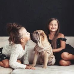 Relaxdays Puppyren - Hondenren - Puppykennel - Konijnenren - Bodem - Metaal - Div. Grootte - M 13 Relaxdays Puppyren - Hondenren - Puppykennel - Konijnenren - Bodem - Metaal - Div. Grootte - M -Hondenbenodigdheden 1200x1200 1173