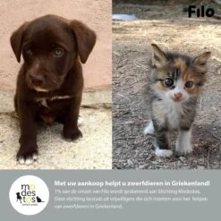 Filo Elastische Hondenriem Groot - Hardlopen En Wandelen - Hardloopriem Hond Handsfree Met Heuptasje - Looplijn Met Heupriem - Canicross Gordel Honden - Riemen - Heupgordel - Leiband -Hondenbenodigdheden 1200x1200 119