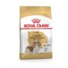 Royal Canin Cavalier King Charles Adult - Hondenvoer - 7,5 Kg 2 Royal Canin Cavalier King Charles Adult - Hondenvoer - 7,5 Kg -Hondenbenodigdheden 1200x1200 1192