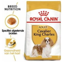 Royal Canin Cavalier King Charles Adult - Hondenvoer - 7,5 Kg -Hondenbenodigdheden 1200x1200 1193