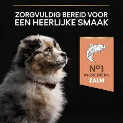 Pro Plan Medium Puppy Sensitive Skin - Honden Droogvoer - Zalm - 12 Kg 28 Pro Plan Medium Puppy Sensitive Skin - Honden Droogvoer - Zalm - 12 Kg -Hondenbenodigdheden 1200x1200 1206