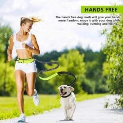 Hondenriem Hardloopriem Elastische Reflecterende Geschikt Voor Hardlopen - Handsfree Riem Met Opbergtasje – Hond Looplijn - Schokabsorberend - Groen -Hondenbenodigdheden 1200x1200 122