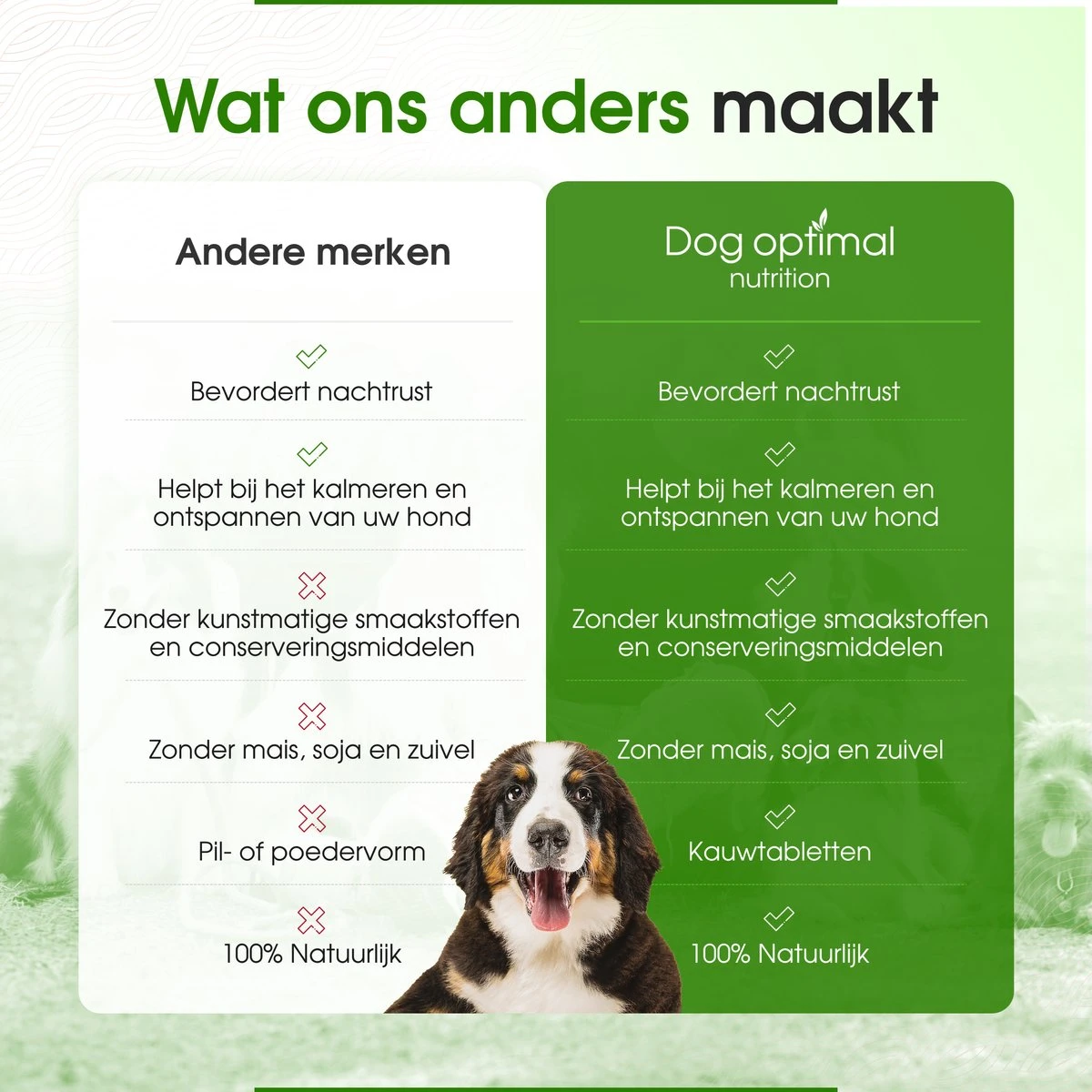 RUST EN KALMEREN CALMING Support 90 Stuks - Kalmeren - Antistressmiddel - Hond - Hondenkoekjes - Hondensupplementen - Honden - Puppy - Hondenvoeding 4 RUST EN KALMEREN CALMING Support 90 Stuks - Kalmeren - Antistressmiddel - Hond - Hondenkoekjes - Hondensupplementen - Honden - Puppy - Hondenvoeding - Afbeelding 2