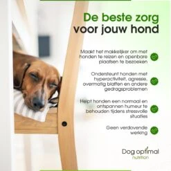 RUST EN KALMEREN CALMING Support 90 Stuks - Kalmeren - Antistressmiddel - Hond - Hondenkoekjes - Hondensupplementen - Honden - Puppy - Hondenvoeding 13 RUST EN KALMEREN CALMING Support 90 Stuks - Kalmeren - Antistressmiddel - Hond - Hondenkoekjes - Hondensupplementen - Honden - Puppy - Hondenvoeding -Hondenbenodigdheden 1200x1200 1234