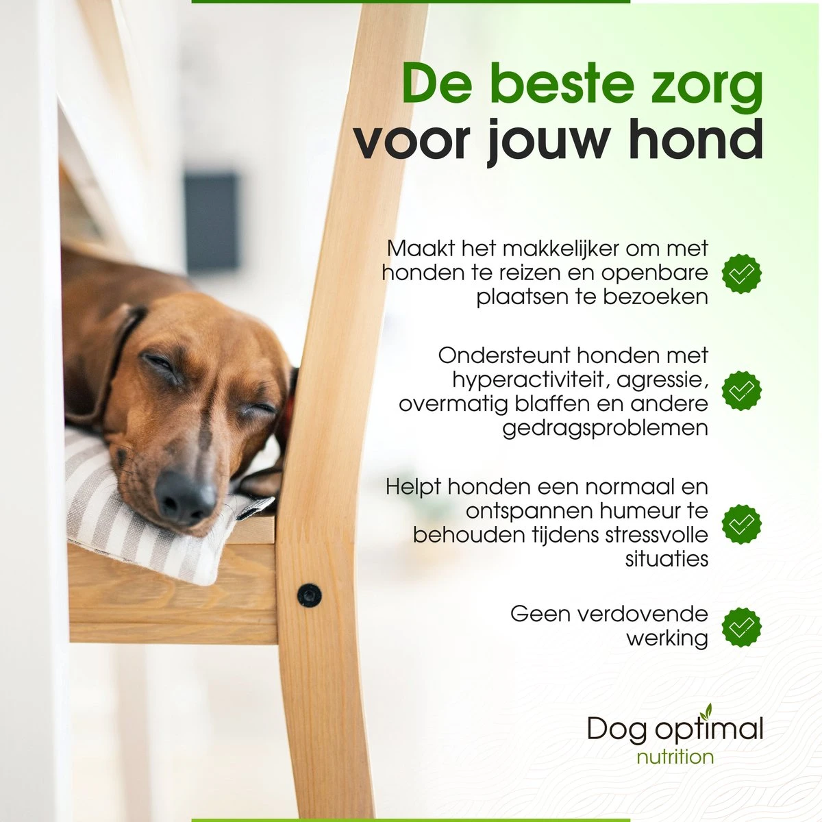 RUST EN KALMEREN CALMING Support 90 Stuks - Kalmeren - Antistressmiddel - Hond - Hondenkoekjes - Hondensupplementen - Honden - Puppy - Hondenvoeding 5 RUST EN KALMEREN CALMING Support 90 Stuks - Kalmeren - Antistressmiddel - Hond - Hondenkoekjes - Hondensupplementen - Honden - Puppy - Hondenvoeding - Afbeelding 3