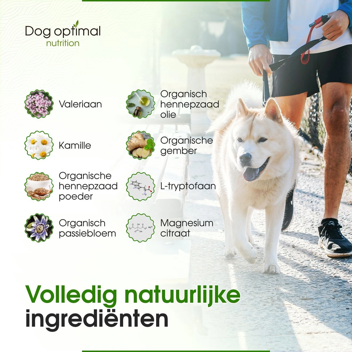 RUST EN KALMEREN CALMING Support 90 Stuks - Kalmeren - Antistressmiddel - Hond - Hondenkoekjes - Hondensupplementen - Honden - Puppy - Hondenvoeding 6 RUST EN KALMEREN CALMING Support 90 Stuks - Kalmeren - Antistressmiddel - Hond - Hondenkoekjes - Hondensupplementen - Honden - Puppy - Hondenvoeding - Afbeelding 4