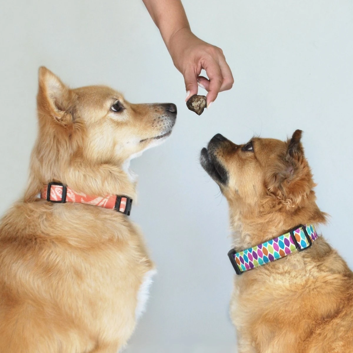 Topdiervoeding Runderlong Hondensnacks - Vers Gedroogd - Knapperig - 1 KG 5 Topdiervoeding Runderlong Hondensnacks - Vers Gedroogd - Knapperig - 1 KG - Afbeelding 3