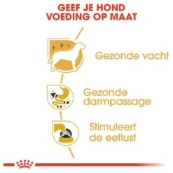 Royal Canin Chihuahua Pouch (12X85 GR) 14 Royal Canin Chihuahua Pouch (12X85 GR) -Hondenbenodigdheden 1200x1200 1260