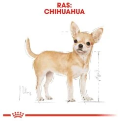 Royal Canin Chihuahua Pouch (12X85 GR) 15 Royal Canin Chihuahua Pouch (12X85 GR) -Hondenbenodigdheden 1200x1200 1261