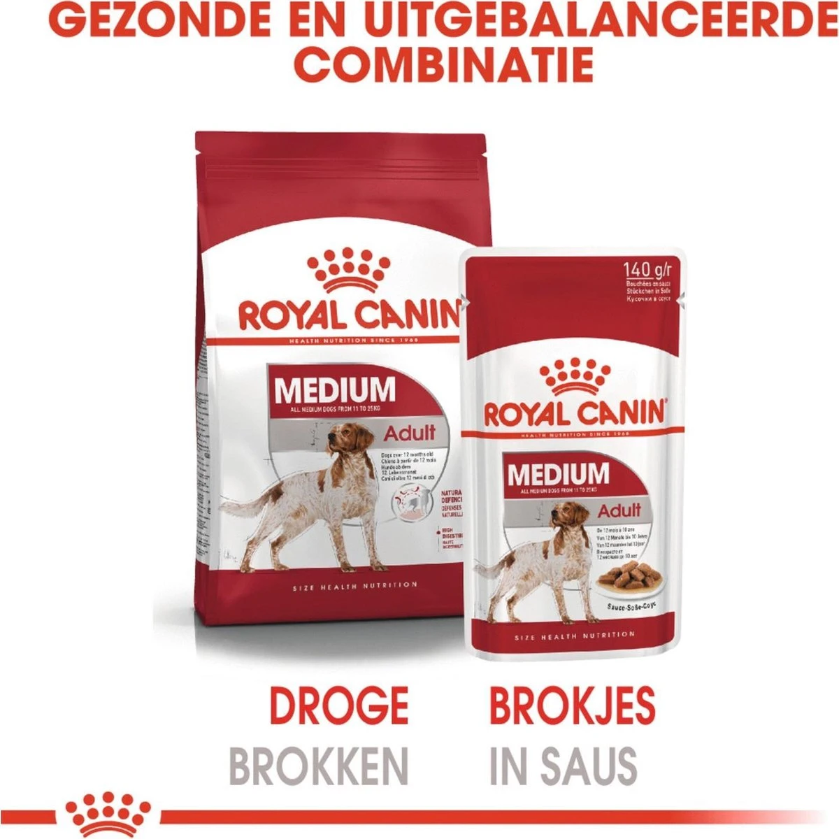 Royal Canin Shn Medium Adult Pouch - Hondenvoer - 10 X 140 G 5 Royal Canin Shn Medium Adult Pouch - Hondenvoer - 10 X 140 G - Afbeelding 4