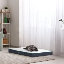 CozySense® - Orthopedisch Hondenkussen - Hondenkussen 60 X 40 Cm - Ook Geschikt Als Benchkussen & Hondenbed - Hondenkussen Bank - Traagschuim - Waterdicht - Wasbare Hoes - Maat S -Hondenbenodigdheden 1200x1200 1282