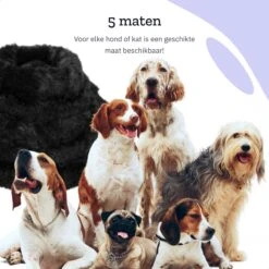 All 4 Pets Supply® Hondenmand Donut - Kattenmand - Maat XS - Geschikt Voor Honden/katten Tot 30 Cm - Hondenkussen - Zwart -Hondenbenodigdheden 1200x1200 1318