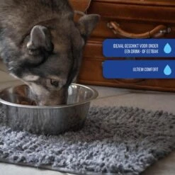 Royal Dry Absorberende Anti-knoeimat Voor Honden – Trekt Vuil Als Een Spons – Laat Geen Vocht Door – 61x45 Cm – Microfiber Chenille – Geschikt Voor Honden En Overige Huisdieren -Hondenbenodigdheden 1200x1200 1330