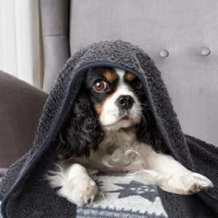 Nobleza 40UWK Hondendeken - Dierenmat - Benchkleed - 120x100cm - Grijs -Hondenbenodigdheden 1200x1200 1340