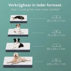 Hondenbenodigdheden 15 Hondenbenodigdheden -Hondenbenodigdheden 1200x1200 1363