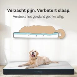 CozySense® - Orthopedisch Hondenkussen - Hondenkussen 90 X 55 Cm - Ook Geschikt Als Benchkussen & Hondenbed - Hondenkussen Bank - Traagschuim - Waterdicht - Wasbare Hoes - Maat L -Hondenbenodigdheden 1200x1200 1364