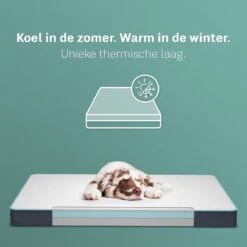 CozySense® - Orthopedisch Hondenkussen - Hondenkussen 90 X 55 Cm - Ook Geschikt Als Benchkussen & Hondenbed - Hondenkussen Bank - Traagschuim - Waterdicht - Wasbare Hoes - Maat L -Hondenbenodigdheden 1200x1200 1365