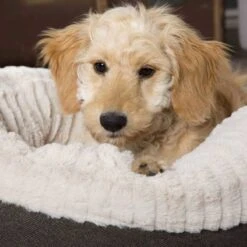 Scruffs Ellen Donut - Warme Hondenmand Van Imitatiebont - Kleur Grijs, Roze Of Bruin - Maat M Of L - Kleur: Grijs, Maat: Medium -Hondenbenodigdheden 1200x1200 1385